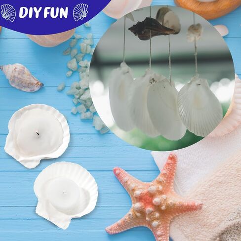 100 Pcs Sea Shell for Crafting Natural Large Scallop Shells White Oyster Shells Bulk for Decorating DIY Home Beach Wedding Ocean Themed Party Baking Shells for Serving Food (1.97''-2.76'') in Saudi Arabia