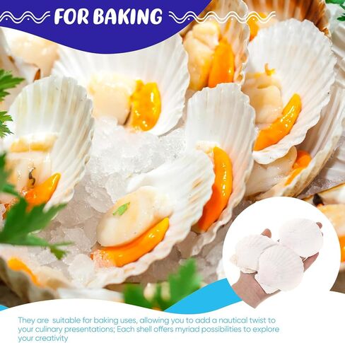 100 Pcs Sea Shell for Crafting Natural Large Scallop Shells White Oyster Shells Bulk for Decorating DIY Home Beach Wedding Ocean Themed Party Baking Shells for Serving Food (1.97''-2.76'') in Saudi Arabia
