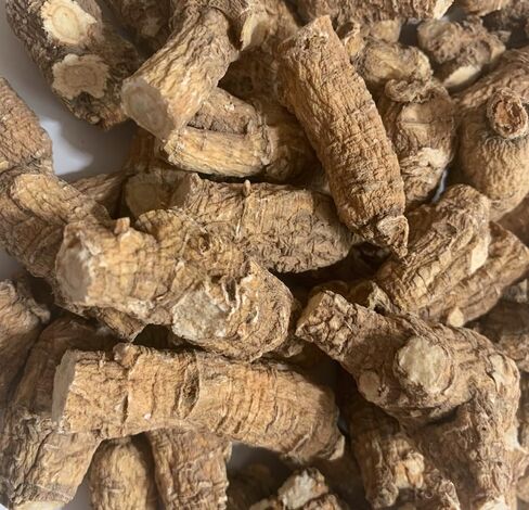 Sengluck American Ginseng (4-yr Growth) 8 oz, 参吉尔促销美国威州原产优质4年花旗参/西洋参0.5磅227克 in Saudi Arabia
