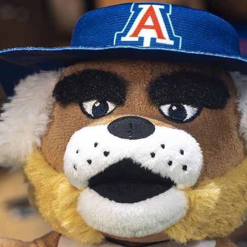Bleacher Creatures Arizona Wildcats Wilbur 10" Mascot Plush Figure 10" Mascot Plush Figures - A Mascot for Play or Display in Saudi Arabia