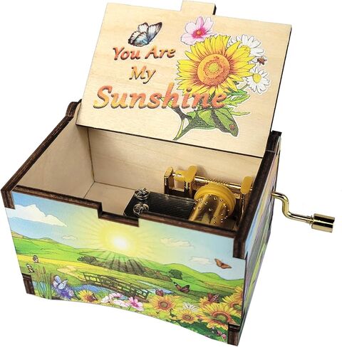 صندوق الموسيقى TheLaser'sEdge You are My Sunshine، هدايا للنساء والرجال وأعياد الميلاد والكريسماس وعيد الأم والذكرى السنوية أو ديكور البضائع in Kuwait