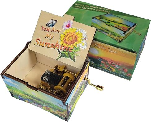 صندوق الموسيقى TheLaser'sEdge You are My Sunshine، هدايا للنساء والرجال وأعياد الميلاد والكريسماس وعيد الأم والذكرى السنوية أو ديكور البضائع in Kuwait