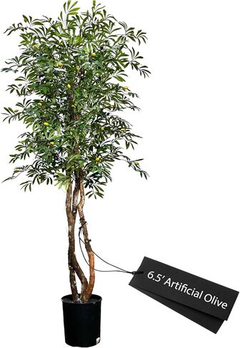 Hand-Made 6.5' Olive Artificial Tree with Ethically Sourced Real Wood Trunks | Green | Cypress & Alabaster in Saudi Arabia