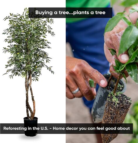 Hand-Made 6.5' Olive Artificial Tree with Ethically Sourced Real Wood Trunks | Green | Cypress & Alabaster in Saudi Arabia