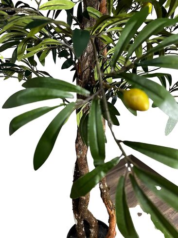 Hand-Made 6.5' Olive Artificial Tree with Ethically Sourced Real Wood Trunks | Green | Cypress & Alabaster in Saudi Arabia