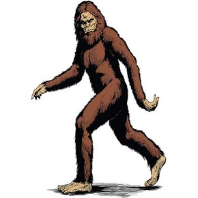 SP12059 Bigfoot Sasquatch Cardboard Cutout