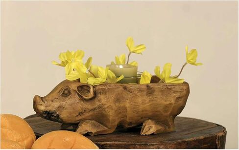 Small Pig Bowl in Saudi Arabia