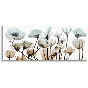 Stupell Industries Mixed X-Ray Flowers Canvas Wall Art by Albert Koetsier