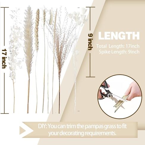 85 PCS Dried Pampas Grass Decor, Natural Pampas Grass Boho Home Decor, Dried Flowers for Wedding, Floral Room, Rustic Farmhouse Party, Table Decor, Baby Shower Decorations in Saudi Arabia