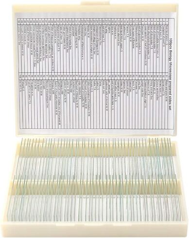 مجموعة شرائح مجهرية مُجهزة مكونة من 100 قطعة، عينة مختبر علم الأحياء الاحترافية للأطفال الطلاب وعلم الأحياء الدقيقة والحشرات والنباتات وتعلم العلوم والمدرسة المنزلية in Kuwait