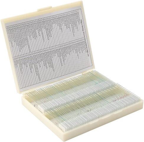 مجموعة شرائح مجهرية مُجهزة مكونة من 100 قطعة، عينة مختبر علم الأحياء الاحترافية للأطفال الطلاب وعلم الأحياء الدقيقة والحشرات والنباتات وتعلم العلوم والمدرسة المنزلية in Kuwait