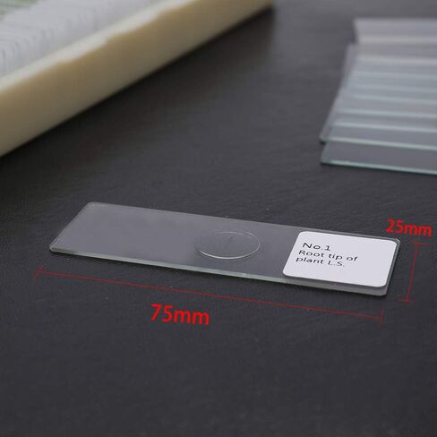 مجموعة شرائح مجهرية مُجهزة مكونة من 100 قطعة، عينة مختبر علم الأحياء الاحترافية للأطفال الطلاب وعلم الأحياء الدقيقة والحشرات والنباتات وتعلم العلوم والمدرسة المنزلية in Kuwait