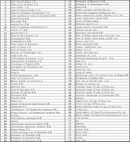 مجموعة شرائح مجهرية مُجهزة مكونة من 100 قطعة، عينة مختبر علم الأحياء الاحترافية للأطفال الطلاب وعلم الأحياء الدقيقة والحشرات والنباتات وتعلم العلوم والمدرسة المنزلية in Kuwait