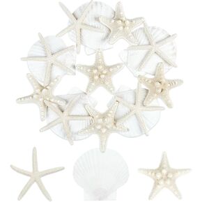 15 PCS Starfish and Scallop Shells, 2"-4" Natural Seashells White Seashells Large Seashells for Crafts Wedding Decor Beach Theme Party, Fish Tank and Vase Filler
