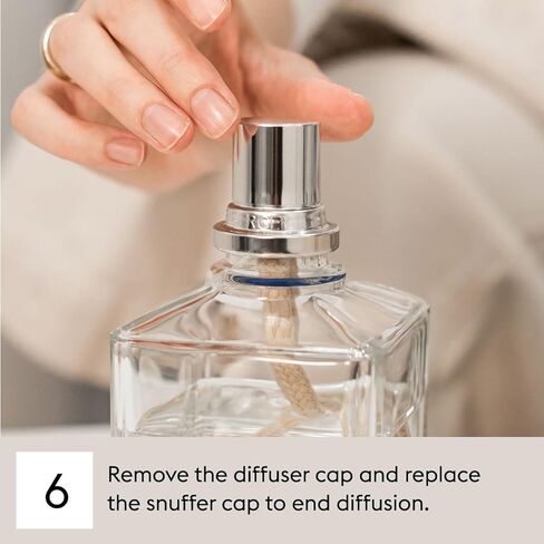 ميسون بيرجر - الشاي الأخضر الإمبراطوري - عبوة عطر لامب بيرجر لموزع زيت العطر المنزلي - معطر الهواء - 16.9 أونصة سائلة - 500 ملليلتر in Kuwait