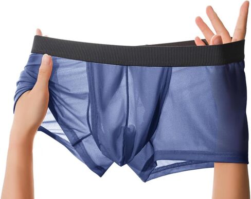 Men's Fly Pouch Underwear Breatable Boxer Briefs Separated Pouch See-through Trunks in Kuwait