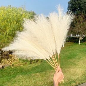 5pcs Blush Faux Pampas Grass Decor, 27.6"/70cm Artificial Pampas Grass Fluffy 9 Stem pompous Grass Flower Arrangement for Boho Home Wedding Decoration