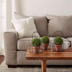 Pure Garden Artificial Podocarpus Grass Plant in Concrete Round Decorative Faux Indoor Ornamental Potted Topiary Set of 3, Green, 3 Count