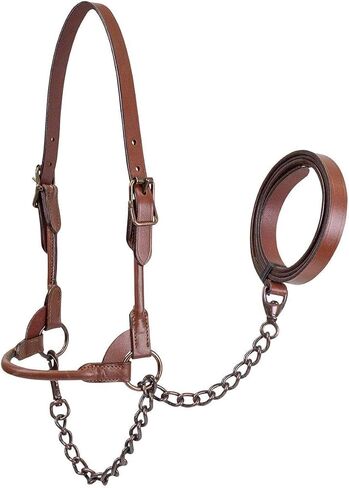 Derby Originals Bronze Beauty Premium Round Rolled Leather Cattle Show Halter with Matching Chain Lead in Saudi Arabia
