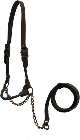 Derby Originals Bronze Beauty Premium Round Rolled Leather Cattle Show Halter with Matching Chain Lead in Saudi Arabia