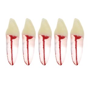 5Pcs Dental Root Canal Pulp Cavity Teeth Model Endodontic Practice RCT Typodont M8007 11# 14# 16# 21# 33# 34# 35# 36# 44# 45# Practicing Study Teach (5Pcs-M8007-33#)
