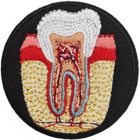 Cute-Patch Anatomical Tooth Dental Nerve Embroidered iron on Patch Dentist Gift