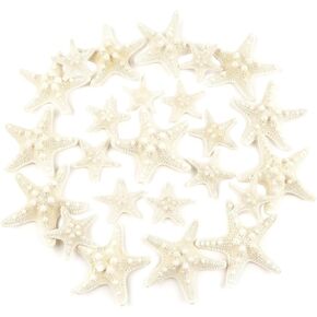 Jangostor 24 PCS Starfish, Mixed Starfish 1" to 2" and 2" to 3" Knobby Starfish Natural Seashells Starfish Perfect for Wedding Decor Beach Theme Party, Home Decorations, DIY Crafts, Fish Tank