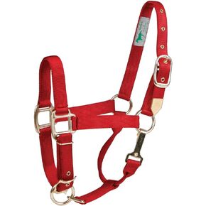 Hamilton 1-Inch Nylon Halter with Adjustable Chin, Red - Average Size