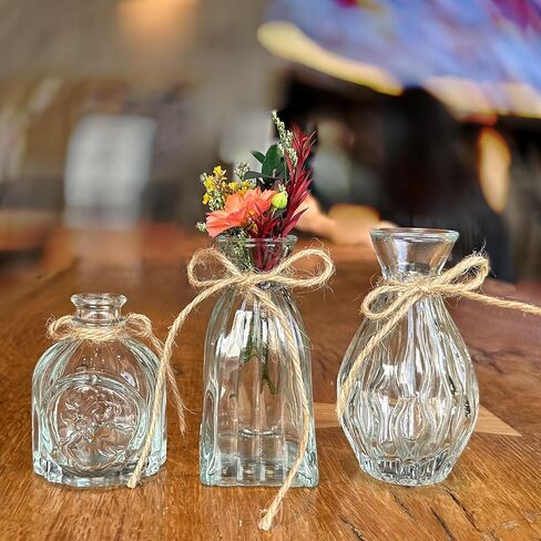 FANTESTICRYAN Glass Bud Vases Set of 3, Clear Vase for Flowers Small Glass Vase Single Flower Mini Vases Bulk for Centerpiece Wedding Table Decor, Home Decorations in Saudi Arabia