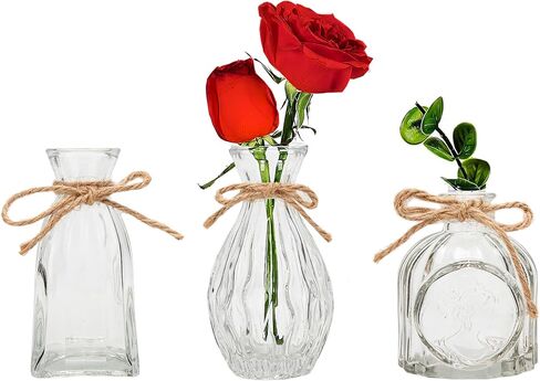 FANTESTICRYAN Glass Bud Vases Set of 3, Clear Vase for Flowers Small Glass Vase Single Flower Mini Vases Bulk for Centerpiece Wedding Table Decor, Home Decorations in Saudi Arabia