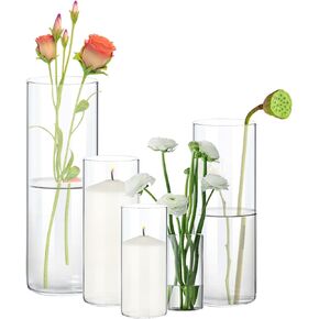 5 Pack Clear Glass Vases for Centerpieces, Cylinder Vase Set, 4,6,8,10,12 Inch Tall Flower Vase for Home Decor, Flower Vase for Table Decorative & Hurricane Floating Candle holders