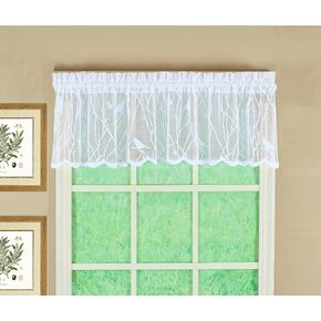 Today's Curtain, Songbird Semi-Sheer Lace Tier 36", White, 56" W x 36" L