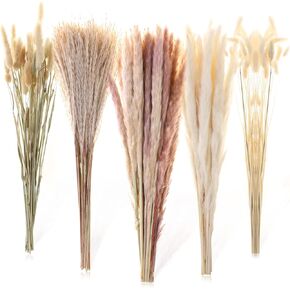 110 PCS Dried Pampas Grass Boho Décor, Natural & White Dried Plants Pompous Grass Bouquet with Bunny Tails Dried Flowers Bulk Reed Tail Grass for Artificial Home Décor , Wedding Party Arrangements