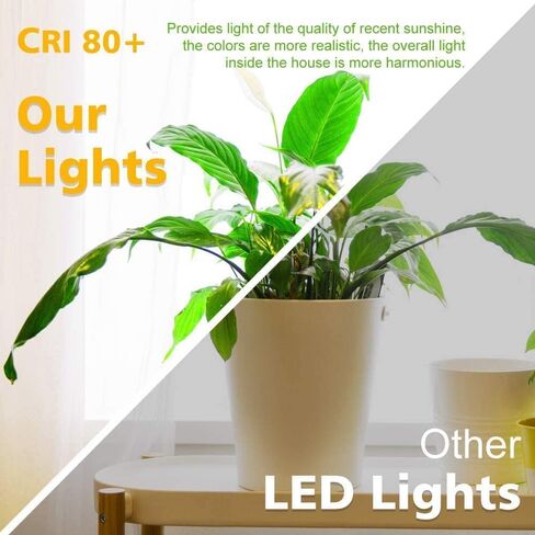 2 Inch LED Downlight, Recessed Lighting Dimmable Ceiling Light, 3W, 3000K Warm White, CRI80 with LED Driver(35W Halogen Equivalent), Black 12 Pack in Saudi Arabia