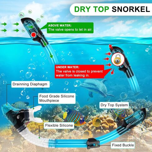 Adult Snorkeling Set, Gimilife 4 in 1 Diving Mask and Dry Top Snorkeling Gear for Audults Snorkeling Scuba Diving Swimming Travel in Saudi Arabia