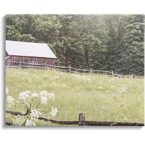 Stupell Industries Rural Country Cottage Grassland Field Canvas Wall Art, Design by Sue Schlabach