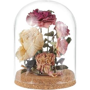 BENECREAT Glass Display Dome Cloche 4.9x6.5 inch, Glass Bell Jar with Cork Base Glass Bottles Decorative Jars for Flower Plants, Specimens, Crafts Decorations, ID: 11.6cm/4.5 inch