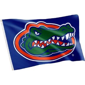 Desert Cactus University of Florida Flag UF Gators Banner 100% Polyester Indoor Outdoor 3x5 feet Flags (Style 4)