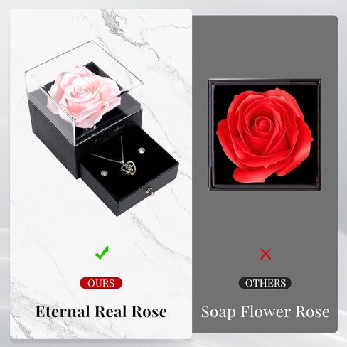 Lian Real Preserved Rose Birthday Gifts for Women, with Necklace and 925 Sterling Silver Earrings. Women Girlfriend Wife Mother Present for Birthday, Valentine's Day, Anniversary, Mother's Day in Saudi Arabia