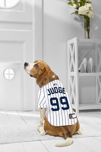 جيرسي MLBPA للكلاب - قميص Aaron القاضي رقم 99 للحيوانات الأليفة - قميص شبكي MLB New York Yankees، مقاس X-Large in Saudi Arabia