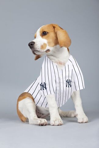 جيرسي MLBPA للكلاب - قميص Aaron القاضي رقم 99 للحيوانات الأليفة - قميص شبكي MLB New York Yankees، مقاس X-Large in Saudi Arabia