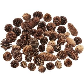 40 PCS Pine Cones Decorations, Natural Pine Cones Bulk Package - Large Medium and Mini Size Rustic Pine cone Ornaments for Table Christmas Tree Crafts Gifts