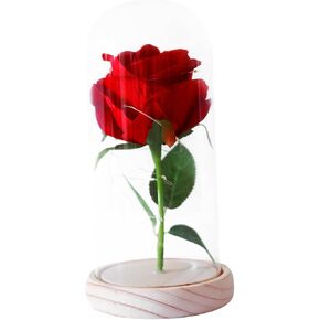 Preserved Rose Gifts in Glass Dome for Women Mom Her Flower Present for Birthday Anniversary Valentines Day