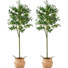 Artificial Olive Trees and Woven Seagrass Basket, 4FT Tall Fake Olive Plant for Home Decor,Realistic Plants for Front Porch, Patio, Indoor Home, Office