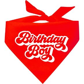 Birthday Boy Retro Theme Dog Bandana (Assorted Colors)