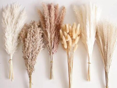 85 PCS Dried Pampas Grass Decor, Natural Pampas Grass Boho Home Decor, Dried Flowers for Wedding, Floral Room, Rustic Farmhouse Party, Table Decor, Baby Shower Decorations in Saudi Arabia