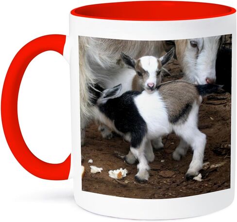 3dRose 3dRose Pygmy goat family - Two Tone Black Mug, 11oz , , Black/White in Saudi Arabia