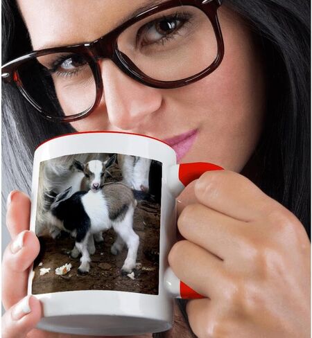3dRose 3dRose Pygmy goat family - Two Tone Black Mug, 11oz , , Black/White in Saudi Arabia
