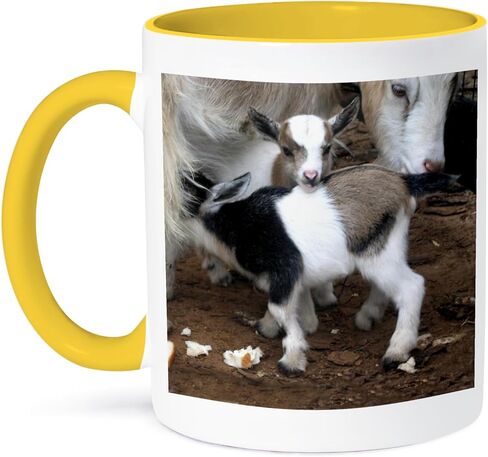 3dRose 3dRose Pygmy goat family - Two Tone Black Mug, 11oz , , Black/White in Saudi Arabia