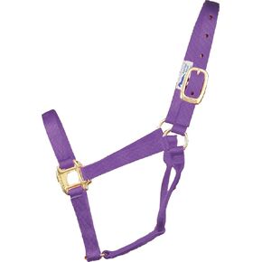 Hamilton 1-Inch Nylon Quality Halter for 300 to 500-Pound Horse, Yearling, Lime Green